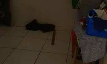 Imagem 4: Apartamento 2/4, sala, cozinha, banheiro e area de serviço 17.000,00