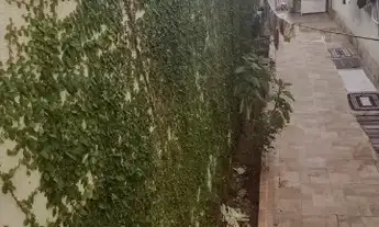 Imagem 4: CASA VILA YOLANDA