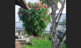 Imagem 3: Casa para Locação em Blumenau, Itoupava Norte, 3 dormitórios, 1 banheiro, 1 vaga