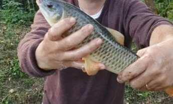 Imagem 6: Terreno em Guararema na beira do Rio Paraiba - 2.000m2