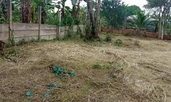 Imagem 3: Terreno a 50 MTS da Pa140