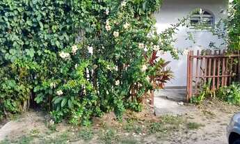 Imagem 2: Village ecológico rua de acesso local orla