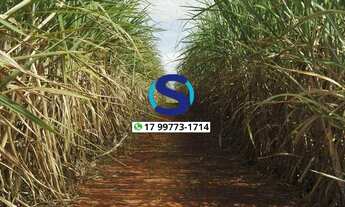 Imagem: Vende -se Sitio em São João das Duas Pontes