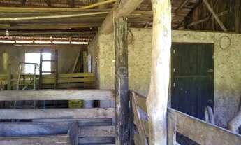 Imagem 7: Sítio em Centro