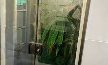 Imagem 5: Vendo casa em São Miguel dos Campos