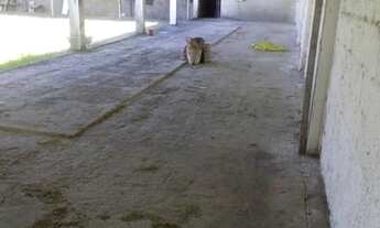 Imagem 6: Galpão Galpão / depósito com 5 vagas na garagem