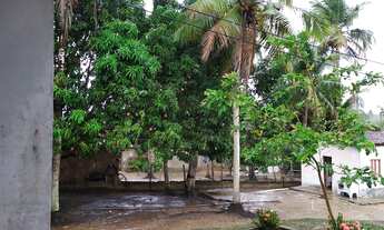 Imagem 2: Chácara em Salgado