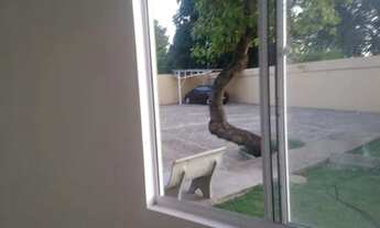 Imagem 7: 54828 - CONDOMINIO BOSQUE LESTE - AV DR JOSE MOURA, 3150