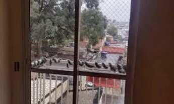 Imagem: Guarulhos - Apartamento Padrão - Jardim