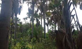 Imagem: Imperdível sítio