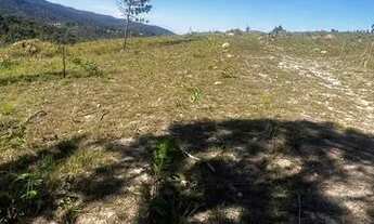 Imagem 6: CHANCE ÚNICA PARA CONQUISTAR SEU TERRENO DE 1500M² NA PROMOÇÃO