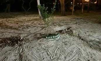 Imagem 6: Sítio em paracuru