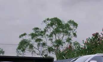 Imagem 4: Apartamento de Alto Padrão a Venda em Balneário Piçarras com 3 Dormitórios