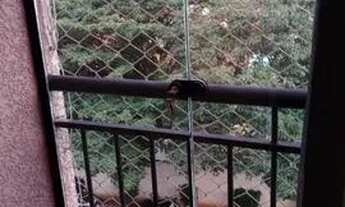 Imagem 4: Apartamento para alugar no Novo Horizonte com 02 quartos