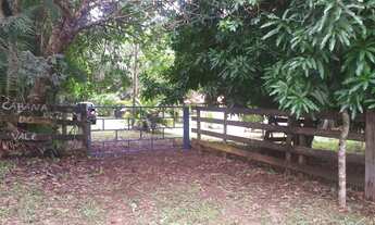 Imagem 2: CHÁCARA 3 ALQ COM RIBEIRÃO LAJEADO