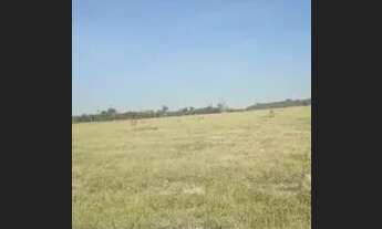 Imagem 3: Fazenda - Bairro Gleba Iriri