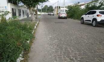 Imagem 4: Terreno Próximo da Noide