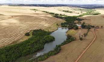 Imagem 6: Fazenda de 250 Alqueries