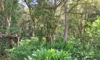 Imagem 7: Sítio / Chácara para Venda em Picada Café, Kaffee Eck