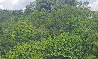 Imagem 2: Ajio de chácara