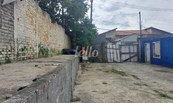 Imagem 5: Terreno null quartos para alugar no(a) Vila São Luís(Zona Oeste