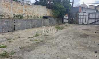 Imagem 4: Terreno null quartos para alugar no(a) Vila São Luís(Zona Oeste