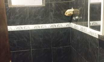 Imagem 5: Casa Jd Planalto com 3 quarto2 banheiro