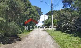 Imagem 7: Lote em Rua Quatis - Colinas - São Francisco de Paula/RS