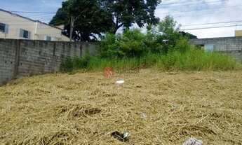 Imagem 3: Terreno comercial à venda, Limoeiro, São Paulo