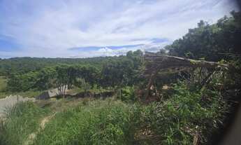 Imagem 7: Lote Escriturado 360m² em Ponta da Fruta - Entrada Facilitada! parcelo sem consulta