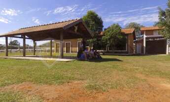 Imagem 4: Haras com Sede de 3 Suítes, 7,5 Alqueires, São Simão