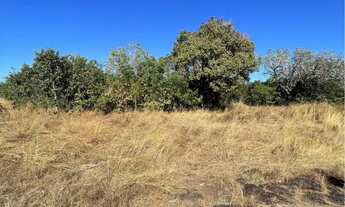 Imagem 4: Vende-se chácara no Tocantins pego camionete ou casa em Goiânia