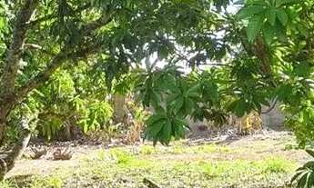 Imagem 6: Chácara à venda em Quadra-SP, bairro Aleluia: 3 quartos, 1 sala, 2 banheiro, 120,00m² de á