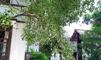 Imagem 2: Casa para Venda - 400m², 3 dormitórios, sendo 2 suites, 2 vagas - Floresta