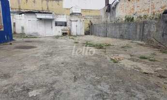 Imagem 6: Terreno null quartos para alugar no(a) Vila São Luís(Zona Oeste