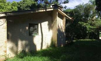 Imagem 5: Ótima morada com figueira e casa ampla