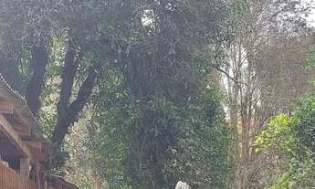 Imagem 5: Terreno na Av. Dr. Manoel Pedro