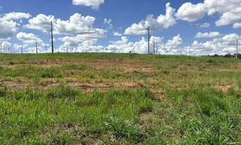 Imagem 3: Vinhas Flamboyant