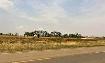 Imagem 5: Lote Americano do Brasil