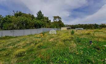 Imagem 6: Vendas Terreno Curitiba PR