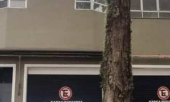 Imagem: Casa Comercial para Venda em São Paulo