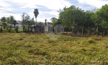 Imagem 4: Chácara com 1 quartos à venda em Guamium - SP