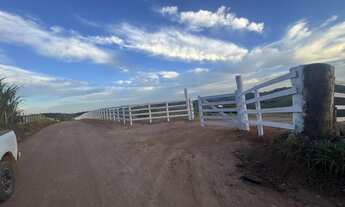 Imagem 3: Vendo terreno de 3 hectares em Piedade dos Gerais MG