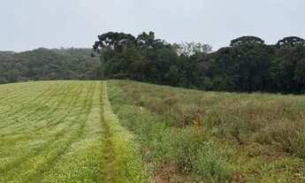 Imagem 3: Terreno em São Jose dos Pinhais