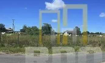 Imagem 6: FAZENDA PEROBAS: POTENCIAL AGROPECUÁRIO E ESTRATÉGICO (52 alqueires fluminenses / 251,68 h