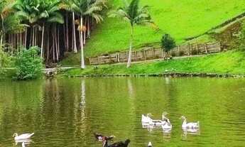 Imagem: Morar bem ficou fácil! Lotes com vista