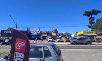 Imagem 5: Terreno - Colombo