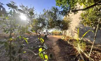 Imagem 5: Terreno a venda Jardim Andorinhas Campinas SP