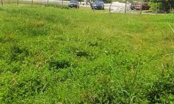 Imagem: Vendo casa com terreno grande em Sto Amaro