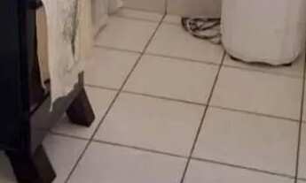 Imagem 4: Casa no lagoa azu